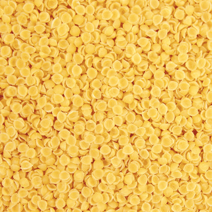 Muscheln 2,5kg